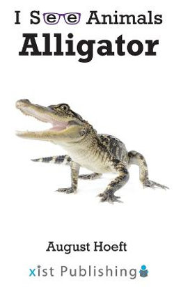 Alligator