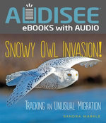 Snowy Owl Invasion!