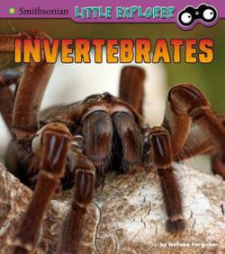 Invertebrates: a 4D Book (Little Zoologist)
