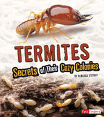 Termites: Secrets of Their Cozy Colonies