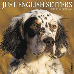 Just English Setters 2019 Wall Calendar (Dog Breed Calendar)