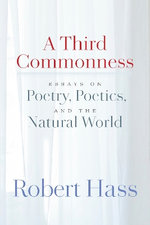 Third Commonness