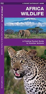 African Wildlife