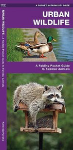 Great Lakes Birds