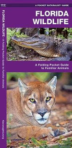 Florida Wildlife