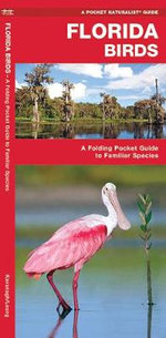 Florida Birds