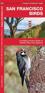San Diego Birds