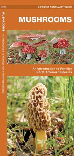 Mushrooms