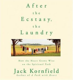 After the Ecstasy, the Laundry