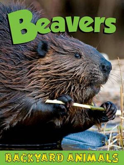 Beavers