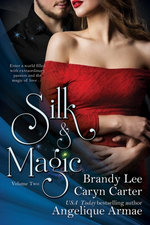 Silk and Magic