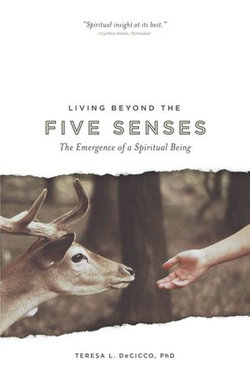 Living Beyond the Five Senses