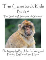 The Comeback Kids -- Book 9 -- The Barbary Macaques of Gibraltar