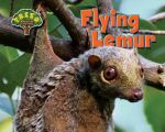 Flying Lemur Flying Lemur