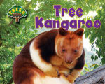 Tree Kangaroo Tree Kangaroo
