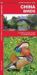 China Birds