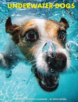 Underwater Dogs Engagement Calendar