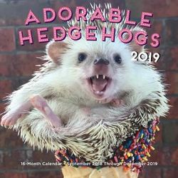 Adorable Hedgehogs Mini 2019