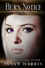 Burn Notice