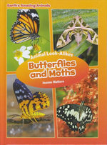 Butterflies and Moths