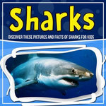 Sharks: Discover These Pictures And Facts Of Sharks For Kids