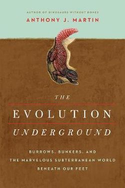 The Evolution Underground