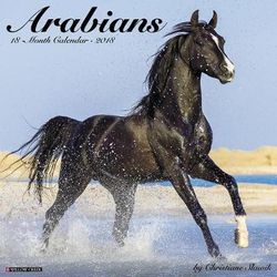 Arabians 2018 Wall Calendar