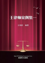 王律师案例集一
