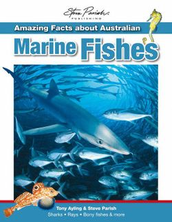 Amazing Facts About Australian Marine Fishes