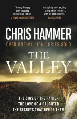 The Valley