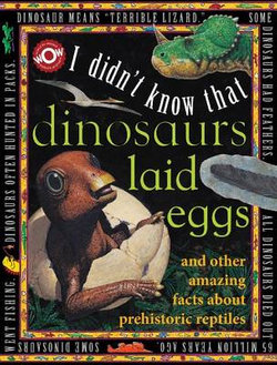Dinosaurs Laid Eggs