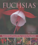 Fuchsias