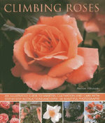 Climbing Roses