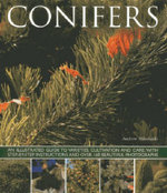 Conifers