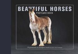 Beautiful Horses Postcard Book