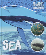 Amazing Migrations: Sea