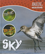 Amazing Migrations: Sky