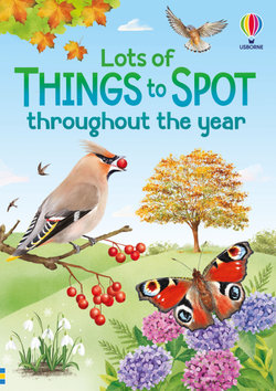 Lots of Things to Spot throughout the year Lots of Things to Spot throughout the year