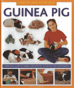 How to Look after Your Guinea Pig