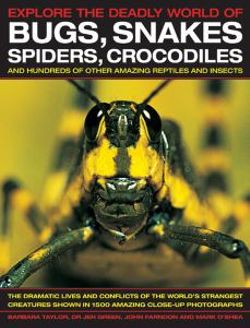 Explore the Deadly World of Bugs, Snakes, Spiders, Crocodiles