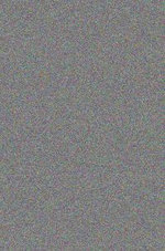 Anthropology and Sexual Morality