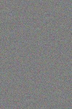 Traveling Cultures and Plants