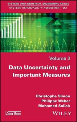 Data Uncertainty and Important Measures Data Uncertainty and Important Measures