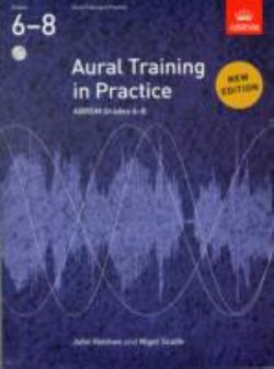 Aural Training in Practice