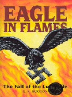 Eagle in Flames