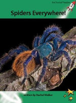 Spiders Everywhere!