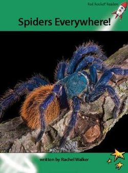 Spiders Everywhere!