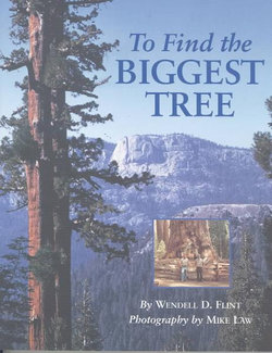 To Find the Biggest Tree