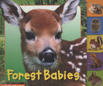 Animal Tabs: Forest Babies