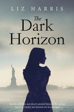 The Dark Horizon